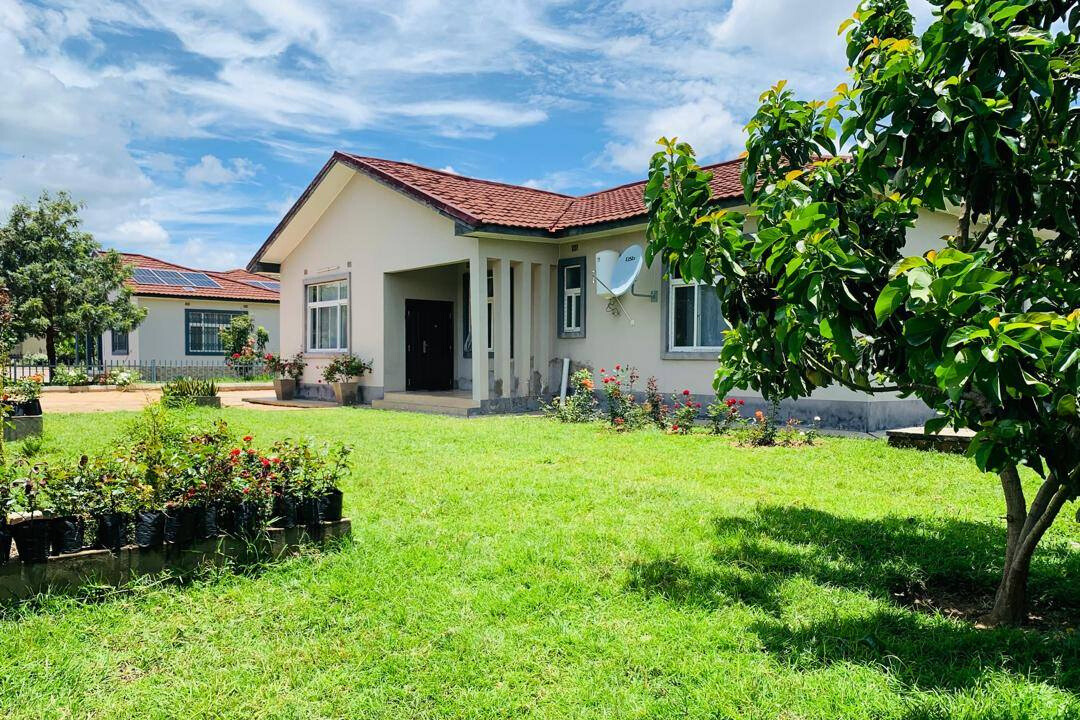 About Hamerkop Ventures