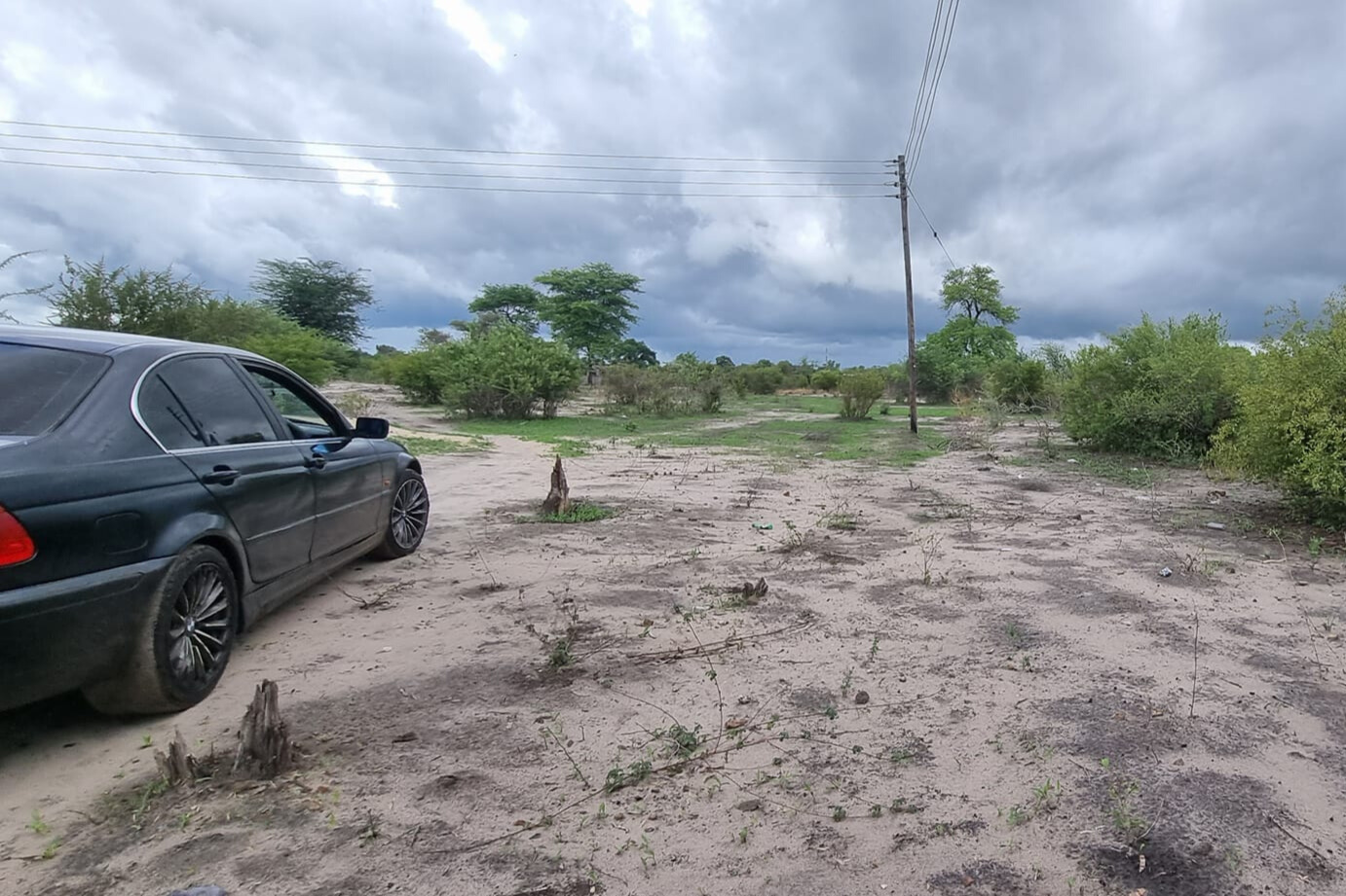 Real Estate Services